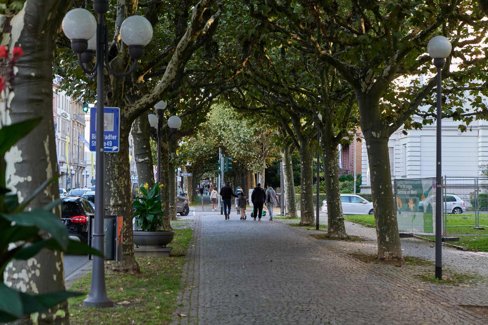 Straßenansicht der Wilhelmstraße in Wiesbaden